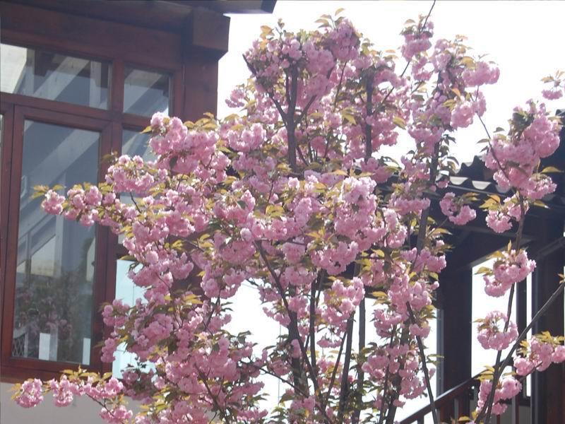 Jingshan Garden Beijing