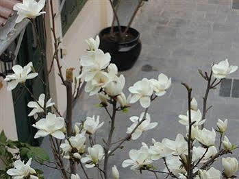 Jingshan Garden Hotel